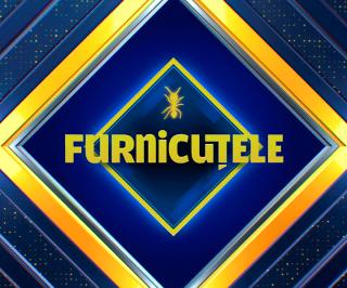Furnicuțele